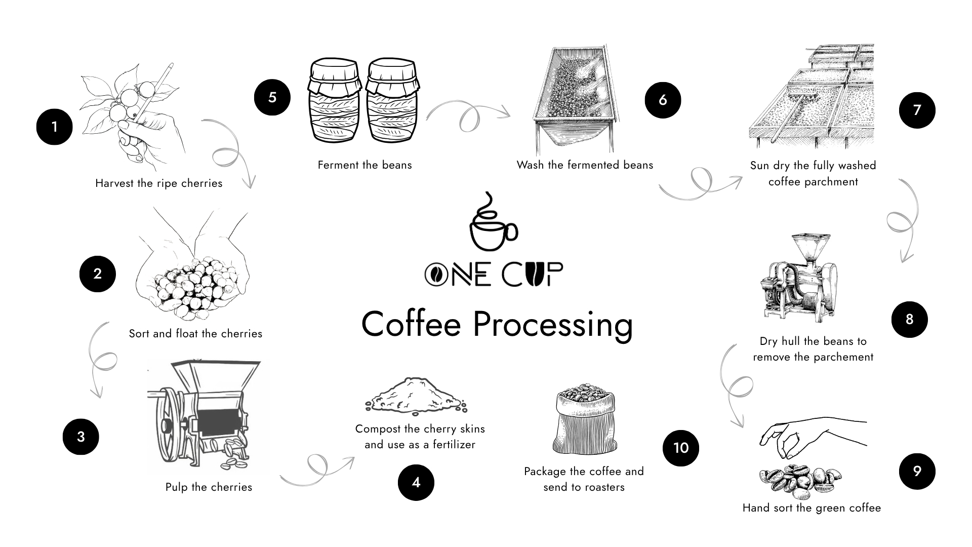 Coffee Process